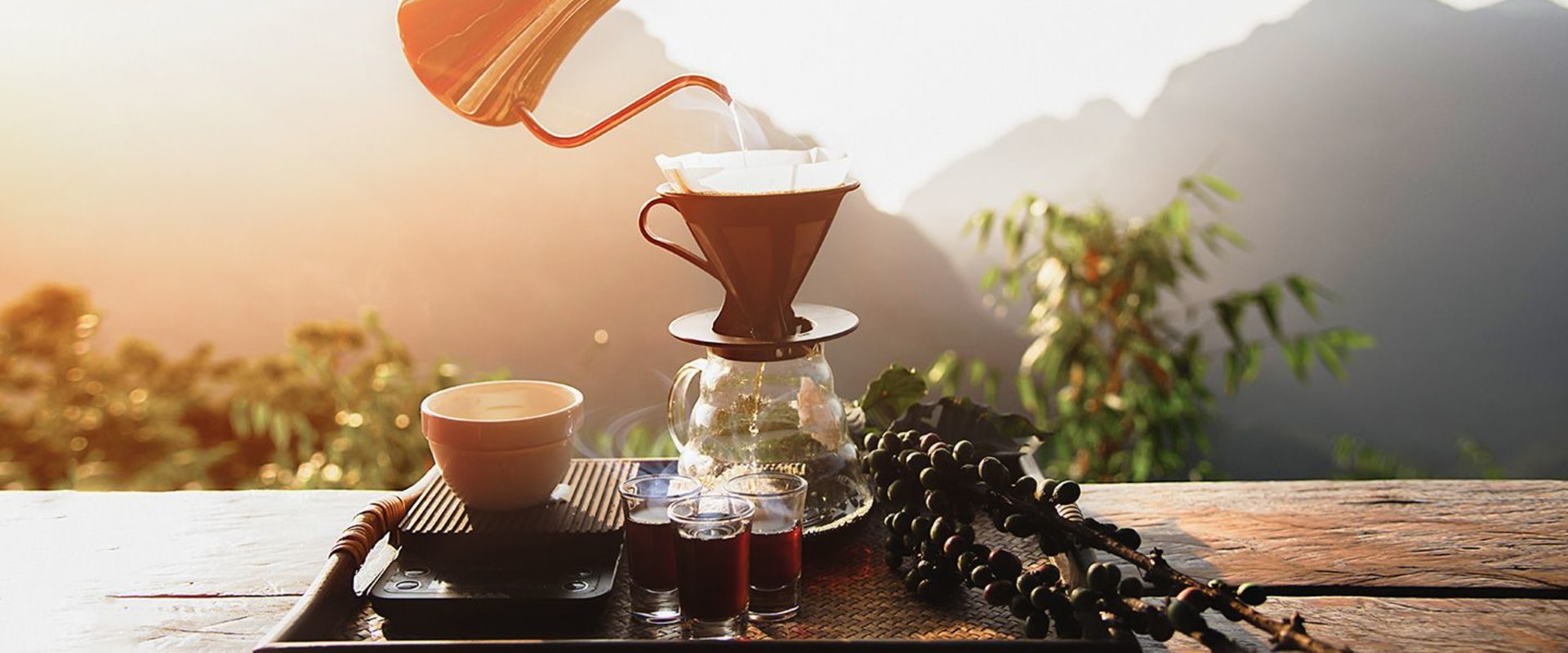 How Coffee is Made: A Comprehensive Guide