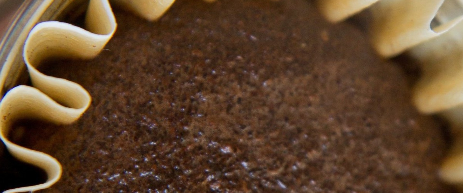 Are Coffee Filters Bad for the Environment?