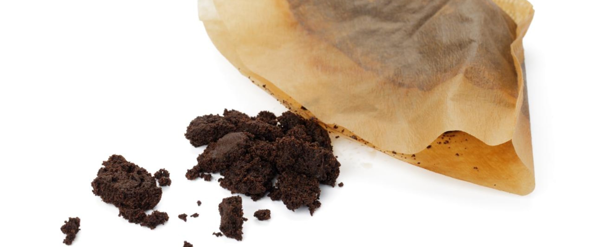 Can I Put Coffee Filters in Food Waste?