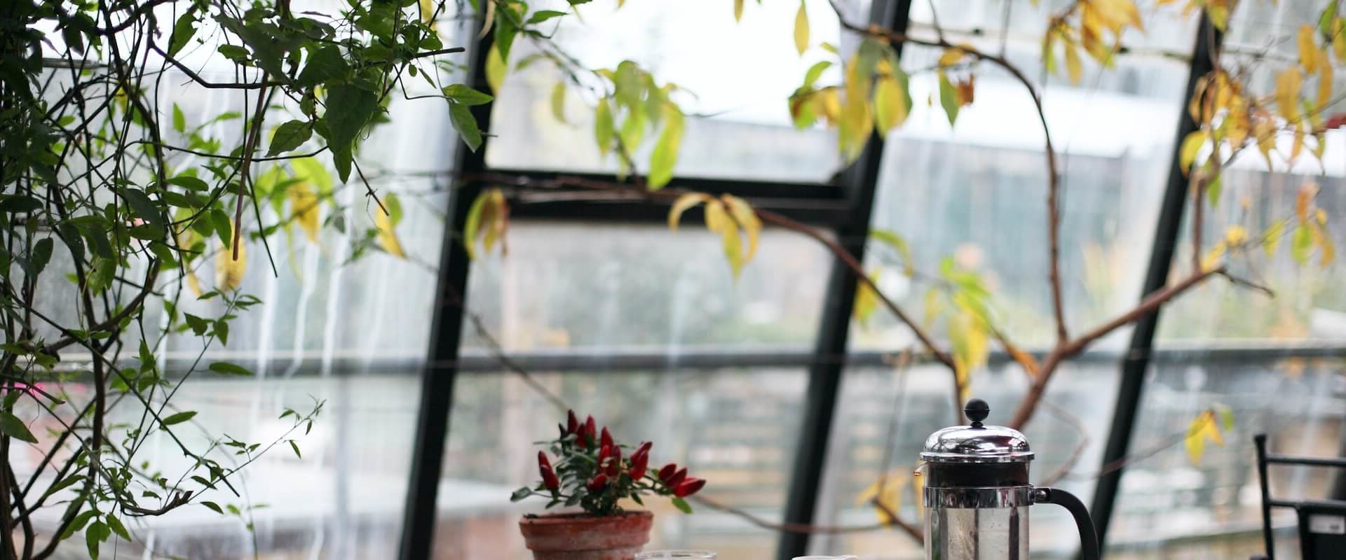 Is a Coffee Shop Business Profitable? A Comprehensive Guide