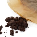 Can I Put Coffee Filters in Food Waste?