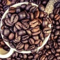 From Seed to Cup: A Comprehensive Guide to Coffee Bean Production