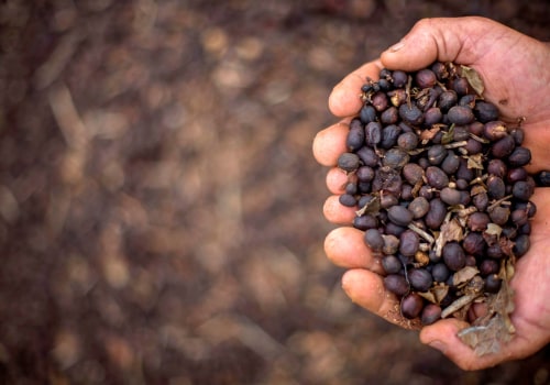 Where is Folgers Coffee Roasted?