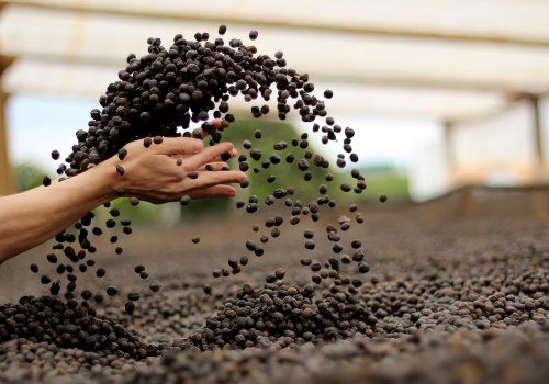 What does it mean for coffee to be sustainable?