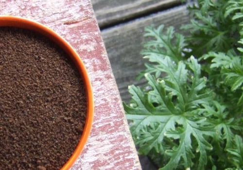 What Plants Don't Like Ground Coffee?